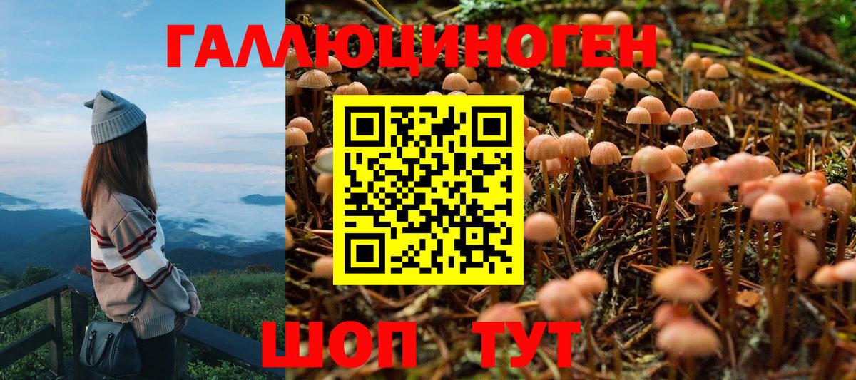 Галлюциногенные грибы Psilocybe  Вход с VPN  Ярцево 
