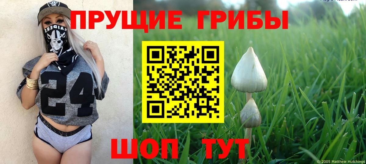 Галлюциногенные грибы ЛСД Ярцево